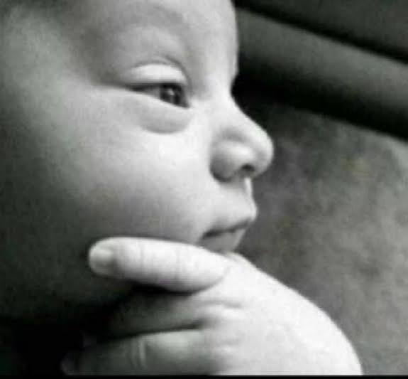 images?q=tbn:ANd9GcSM4yFu1Fmya1eJWu1OMEPBQWL9qOh9dPfCGSLHij3eOQ&s=10