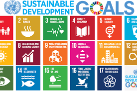 The addis ababa action agenda supports, complements. The Sustainable Development Goals Unicef Georgia