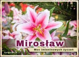 Codziennie uśmiechu, radości, miłości, niewiele złości, dużo wolnego, późnej starości, udanej imprezki i wspaniałych gości. Imieniny Miroslawa Darmowe Kartki Dla Miroslawa Zyczenia I Kartki Za Darmo