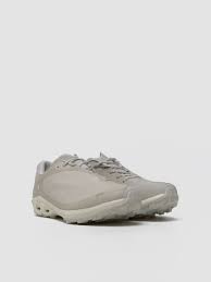 Image result for Moondust Silver 2001 Puma