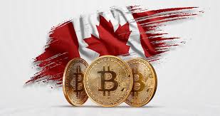 Learn how to buy, sell, and trade bitcoin in canada. How To Trade Bitcoin Futures On Leverage In Canada The Btcc Blog