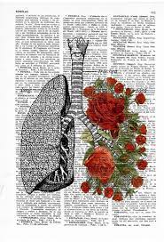 Doctors Day Gift Lungs With Red Roses Human Anatomy Print Anatomy Art Gift Love Art Human Anatomy Art Lungs And Roses Art Ska064 Human Anatomy Art Anatomy Art Rose Art