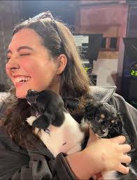 Noah Breece's Instagram, Twitter & Facebook