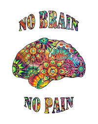 Pin On Brain Science
