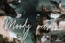 As a full time blogger and traveler i take a variety of shots, so i need a camera that can work well with everything. Moody Blogger Lightroom Presets 3563880