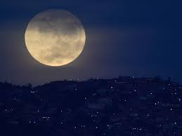 Photos of the Week: Halloween 'Blue Moon,' Tech CEOs Face Congress and More 