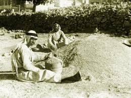 ramallah رام الله two men measuring wheat in ramallah early to mid 20th c photo by chalil raad palestine s first palestine history palestine scenes