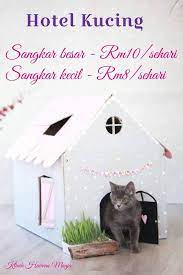 ##yang best harga terbaik dan mampu milik. Hi Selamat Pagi Dh Klinik Haiwan Manja Alor Setar Facebook