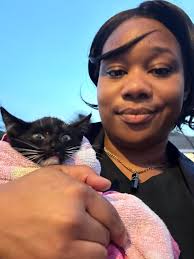 Kittens in Hemet area need rescue