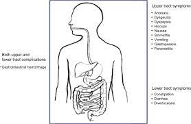 Chronic Kidney Disease And Gastrointestinal Disorders Sciencedirect