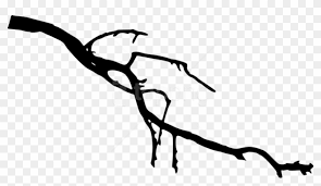 We did not find results for: Tree Branch Silhouette Tree Branch Silhouette Png Free Branch Silhouette Branch Png Clipart 1713502 Pikpng