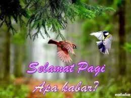 Memberikan ucapan selamat pagi bernuansa kristen kepada keluarga atau kerabat bisa menjadi sarana untuk tetap menjaga hubungan dekat antara kamu dengan mereka. Kumpulan Berbagai Ucapan Selamat Pagi Selamat Malam Dan Selamat Ulang Tahun Yang Romanti Romantic Good Night Messages Romantic Good Night Good Night Messages