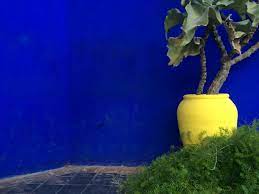 Marrakech Jardin Majorelle Kunst Und Reisen