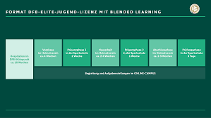 Welche spielfeldgröße ist beim fußball eigentlich vorgeschrieben? Dfb Grafikprogramm Training