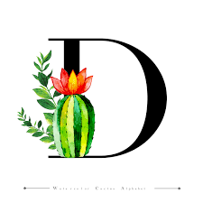 Choose from 500 different sets of flashcards about english alphabet on quizlet. Alphabet Letter D With Watercolor Cactus And Leaves 684823 Download Free Vectors Clipart Graphics Vector Art