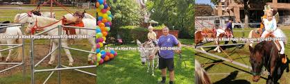 A mobile exotic animal exhibit that operates from north dallas considers. Pony Petting Zoos Party Carousel Rides Dallas Fort Worth