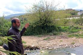 دوز سموم المياه العادمة في سلة غذاء نابلس وشمال الضفة