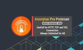 Itu mungkin dikarenakan hanya nama tampilan saja agar lebih diminati orang. Download Anonytun Pro V6 6 Mod Apk Unlimited Pro Terbaru 2019