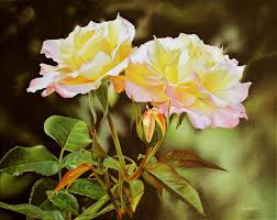 Resultado de imagen de rosas bonitas