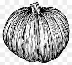Continuous line drawing halloween pumpkin vector. Pumpkin Pie Drawing Line Art Jack O Lantern Black And White Pumpkin Illustration Free Transparent Png Clipart Images Download