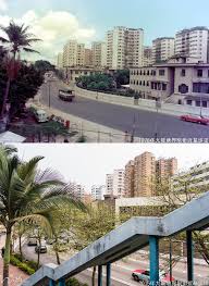 九龍塘界限街近基堤道1978年 history pictures world cities architecture