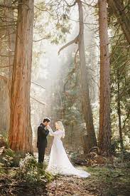 28 Fairytale Wedding Photos That Capture The Magic Of Love Wedding Pictures Wedding Photos Forest Wedding
