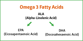 Afbeeldingsresultaat voor image of EPA - eicosapentaenoic acid