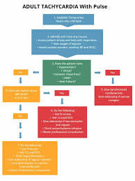 Image result for Ventricular Fibrillation Management in the Adult