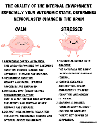 Image result for Higher Integrative Function