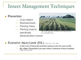 The objective of managing pests and diseases in forests and forest plantations should be to keep them in a healthy, productive condition. 1 Precision Agriculture For Insect And Plant Disease Management Ppt Download