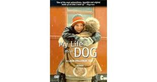My Life as a Dog Movie Review | Common Sense Media