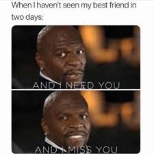Pin By Megan Holmes On Funny Pictures Very Funny Memes Best Friend Meme Funny Laugh