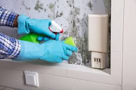 A little elbow grease, a little mold killing primer. The Best Mold Killing Primer And Mold Resistant Paints