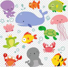 Mewarnai hewan lebih sulit dilakukan daripada mewarnai pohon, pemandangan, bunga dan rumah. Laut Binatang Laut Fotografi Mainan Bayi Garis Png Pngwing