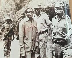 Image result for robert mugabe and emmerson mnangagwa as freedom fighters