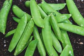 They require the least amount of space. Top 10 Vegetables To Grow In Your Home Garden