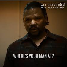 Snowfall Fans California Community