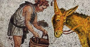 Apuleius's The Golden Ass: A Donkey's-Eye View of Roman Life
