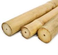 Backyard X-Scapes 72 in. L Solid Bamboo Poles for Structural ...