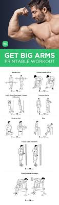Visit Workoutlabs Com For A Free Pdf Of This Bog Arms