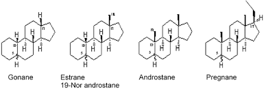 Image result for Pregnane Progestin