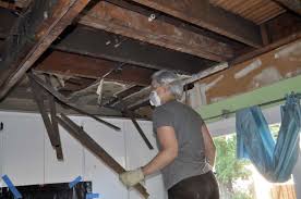 We did not find results for: Kitchen Progress Removing Drywall Plaster And Lath Ceilings And Fixing A Floating Bathtub And Then We Tried
