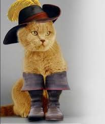 This puss in boots cat costume includes a black cape that fastens around the neck, stylish scarf, paw cuffs, a white frill collar, and a hat with an attached feather to top it all off. Pin En My Little Man S Board