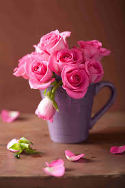 100 Rose Images Download Rose Images In Hd For Free Az Quotes Rose Roses Pinkrose Rose Love Rose Flower Rose Flower Wallpaper Flower Background Iphone