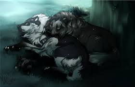Cuddling Is A Nice Weakness Wolf Art Wolf Drawing Canine Art
