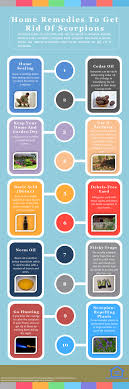 How to get rid of scorpions naturally. 15 Quality Home Remedies To Get Rid Of Scorpions