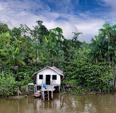The cordillera del condor, located in this. Natur Drei Tage Fur Die Ewigkeit Auf Dem Amazonas Welt