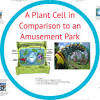 Animal cell travel brochure examples. Https Encrypted Tbn0 Gstatic Com Images Q Tbn And9gcrp5me8gmyzr0rdwobpn2wkd902xqbs40f C8mfq5kk0thstqlt Usqp Cau