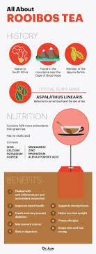 This Tea Protects Against Cancer Heart Disease Rooibos Tea Benefits Rooibos Tea Rooibos