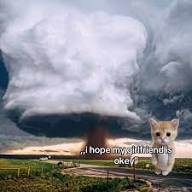 Photos by Avísek Límbu (@ig_meouw01) · April 29, 2025